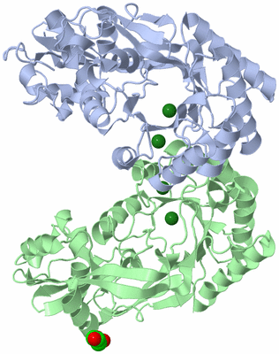 Image Biological Unit 3