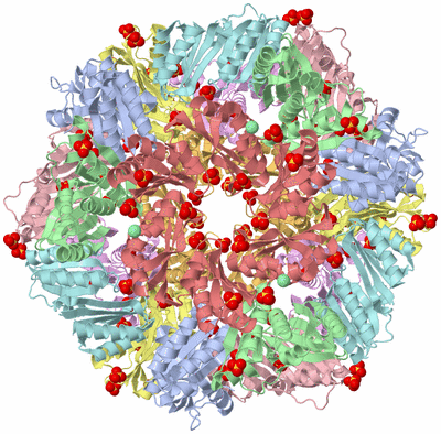 Image Biological Unit 1