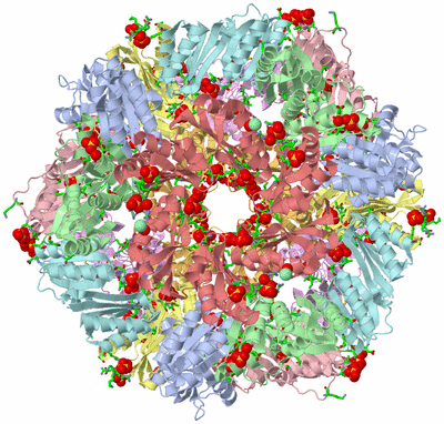 Image Biol. Unit 1 - sites