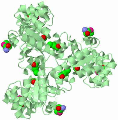 Image Biological Unit 2