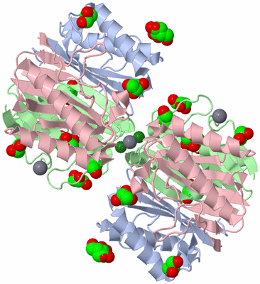 Image Biological Unit 2