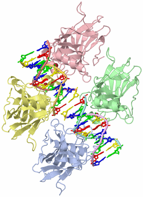 Image Biological Unit 1