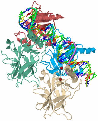 Image Biological Unit 2