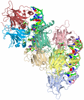 Image Asym. Unit - sites