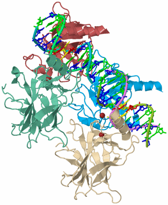 Image Biological Unit 2