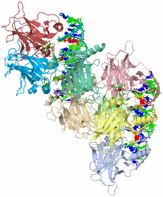 Image Asym. Unit - sites