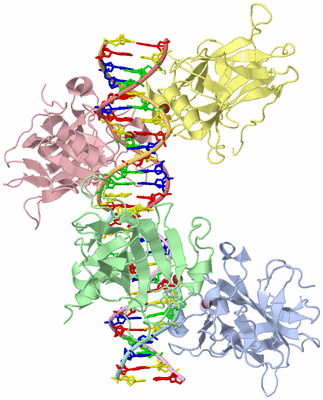 Image Biological Unit 1