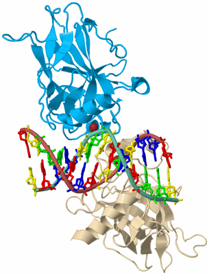 Image Biological Unit 2