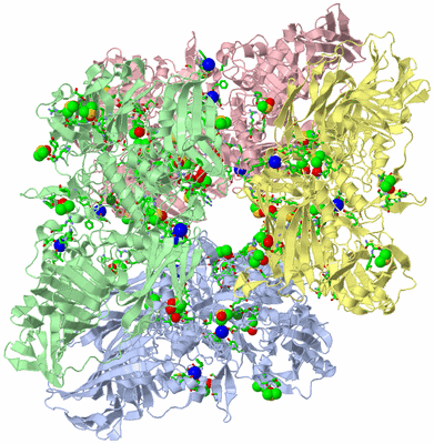 Image Asym./Biol. Unit - sites