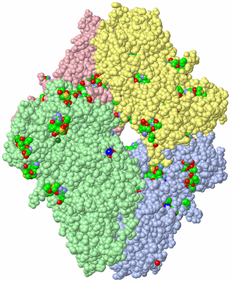 Image Asym./Biol. Unit - sites