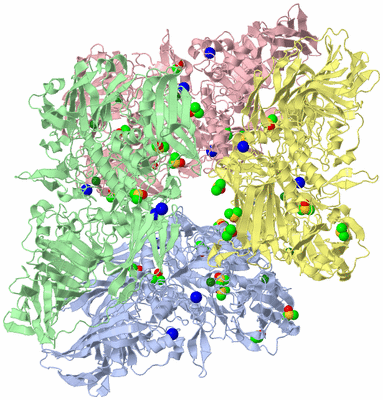 Image Asym./Biol. Unit