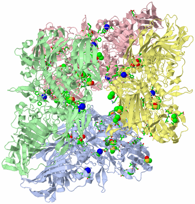 Image Asym./Biol. Unit - sites