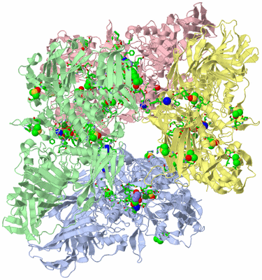 Image Asym./Biol. Unit - sites