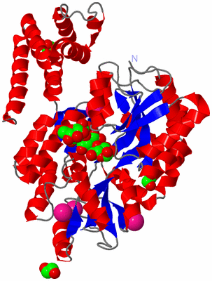 Image Asym./Biol. Unit