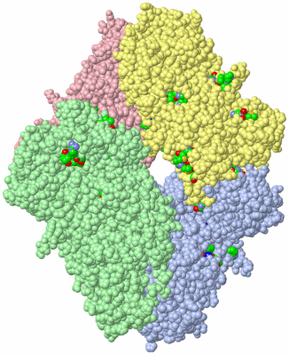 Image Asym./Biol. Unit - sites