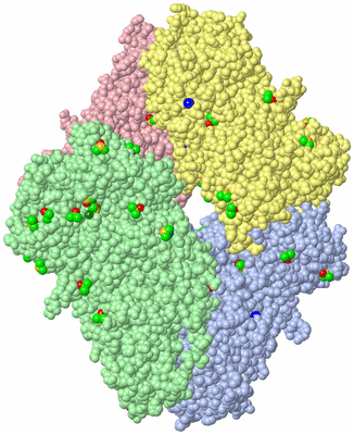 Image Asym./Biol. Unit