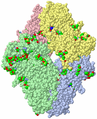 Image Asym./Biol. Unit - sites