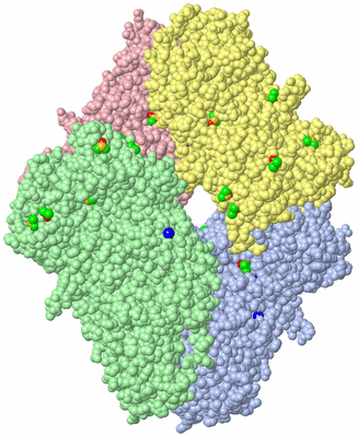 Image Asym./Biol. Unit