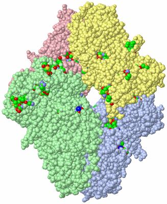 Image Asym./Biol. Unit - sites