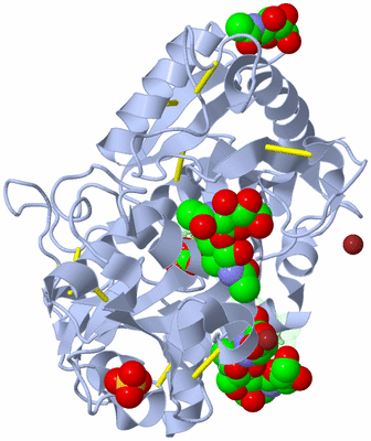 Image Asym./Biol. Unit