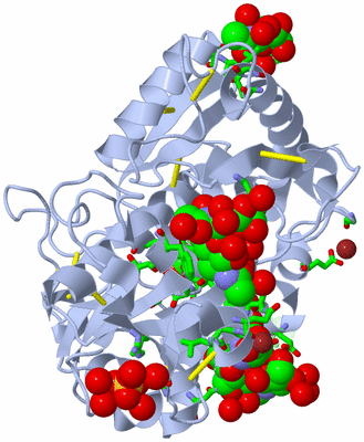 Image Asym./Biol. Unit - sites