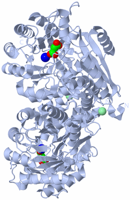 Image Biological Unit 1