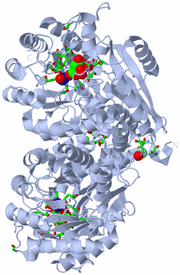 Image Biol. Unit 1 - sites