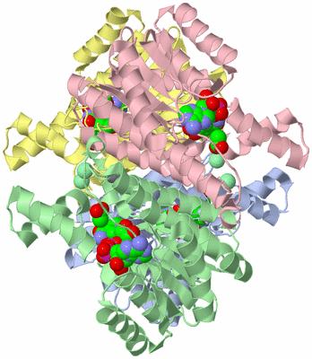 Image Asym./Biol. Unit