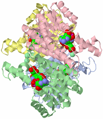 Image Asym./Biol. Unit