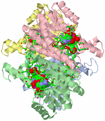 Image Asym./Biol. Unit - sites