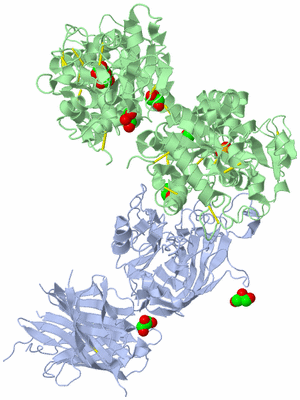 Image Biological Unit 1