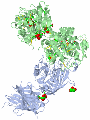 Image Biol. Unit 1 - sites