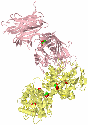 Image Biological Unit 2