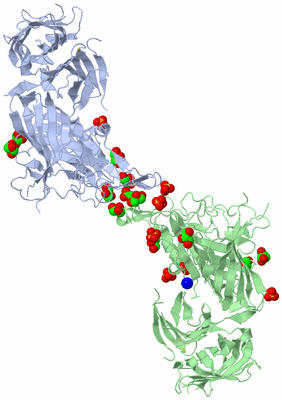 Image Biological Unit 3