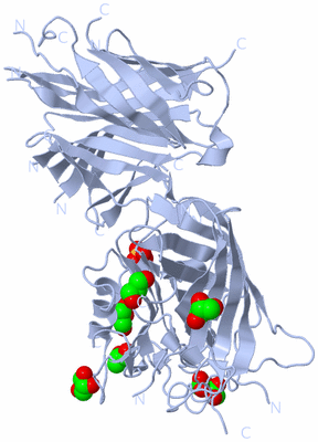 Image Biological Unit 4