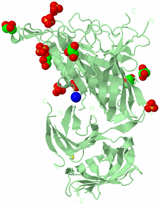 Image Biological Unit 5