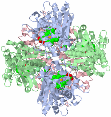 Image Biological Unit 1