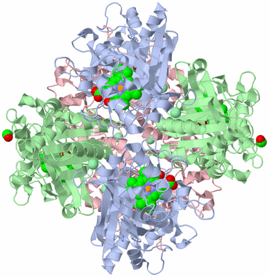 Image Biological Unit 1