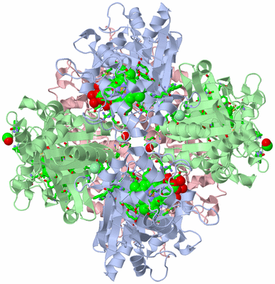 Image Biol. Unit 1 - sites