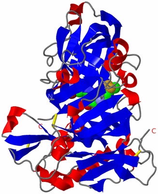 Image Asym./Biol. Unit