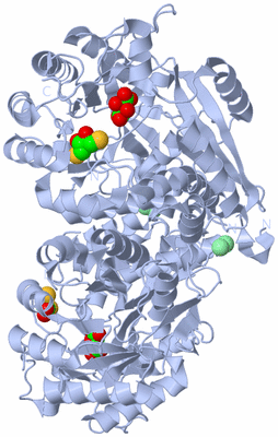 Image Biological Unit 1