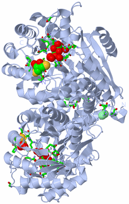 Image Biol. Unit 1 - sites