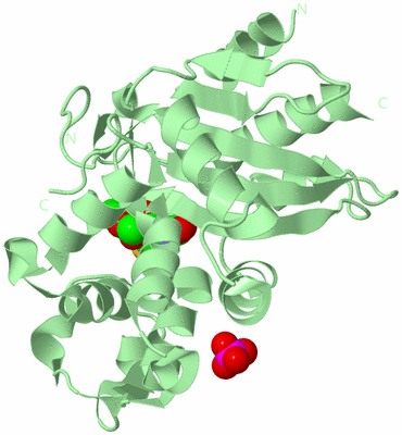 Image Biological Unit 2