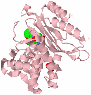 Image Biological Unit 3