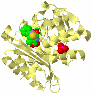 Image Biological Unit 4