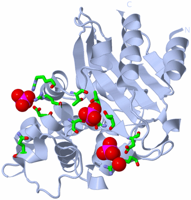 Image Biol. Unit 1 - sites