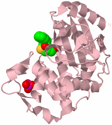 Image Biological Unit 3