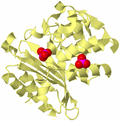 Image Biological Unit 4