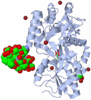 Image Asym./Biol. Unit