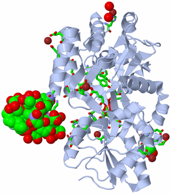 Image Asym./Biol. Unit - sites